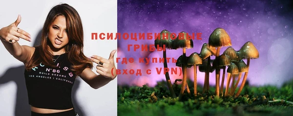 марки lsd Богородицк