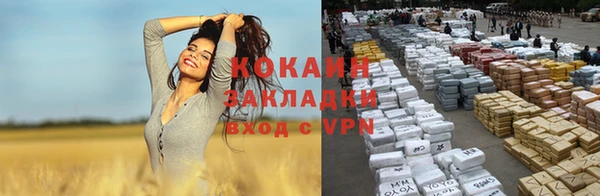 стаф Нефтекумск