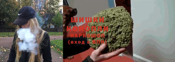 mix Богородск