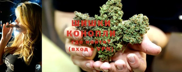 mix Богородск