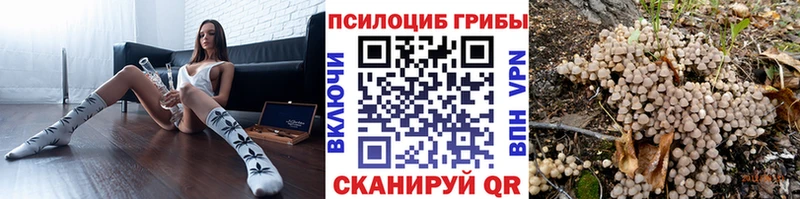 blacksprut зеркало Нижний Тагил Галлюциногенные грибы Psilocybine cubensis хочу наркоту